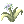 Vital_Flower.png